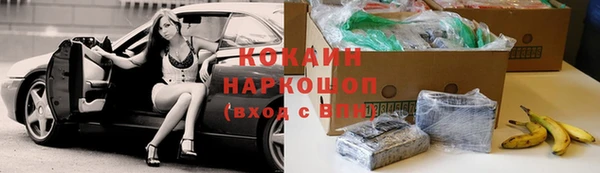 спиды Елизово